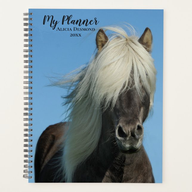 Agenda Bela Shetland Pony (Frente)
