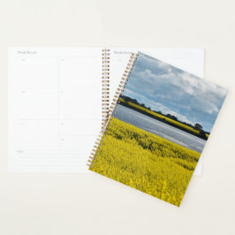 Agenda Bela Streatham Dramática