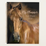 Agenda Belo Cavalo<br><div class="desc">Belo Cavalo Colorido de Bronze. É hora de se organizar! Planeje os seus dias de forma organizada e eficiente com esta agenda personalizável. Perfeito para seu estilo de vida ocupado,  este planejador tem um lugar para planejar seus meses,  planejar suas semanas,  e anotar tudo que é importante para você!</div>
