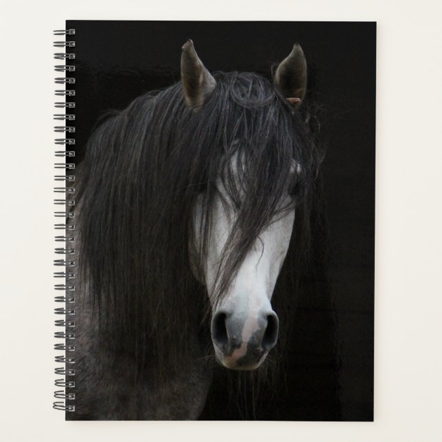 Agenda Belo Cavalo Negro e Branco (Frente)