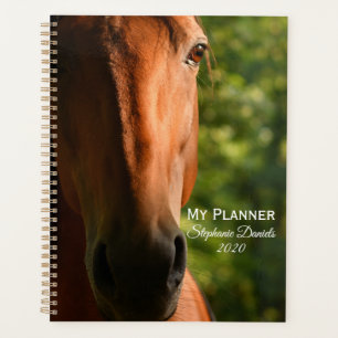 Agenda Belo Cavalo Profundo
