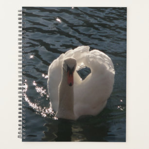 Agenda Belo cisne branco