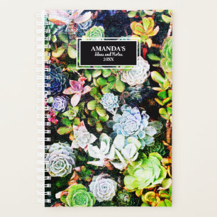 Agenda Belo Jardim do Suculto