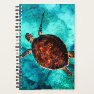 Agenda Belo Oceano Nadando Tartaruga Marrom Grande