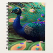 Belo Planeador Peacock