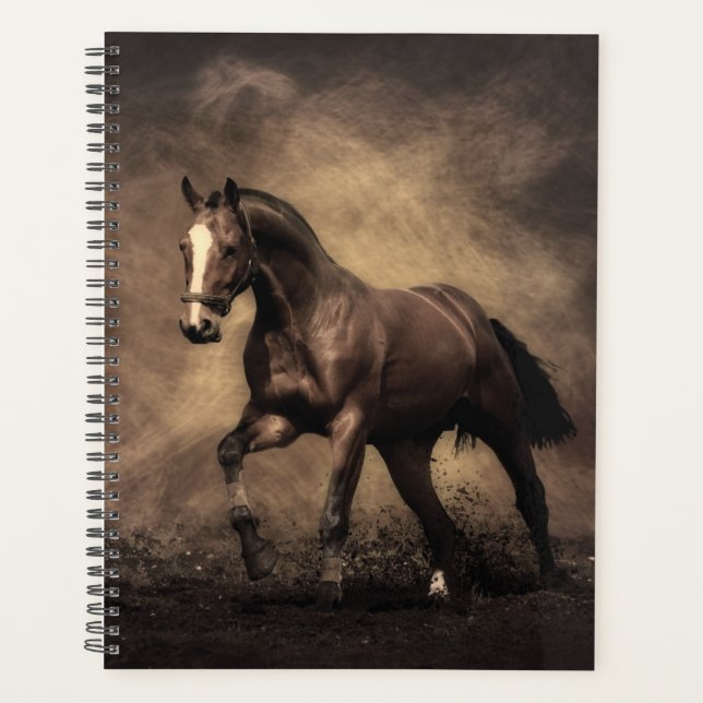 Agenda Belo travesseiro decorativo marrom (Frente)
