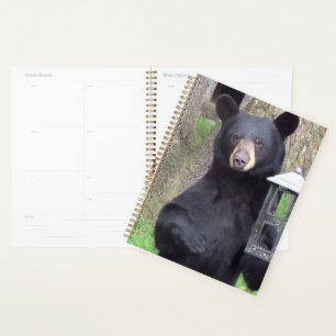 Agenda Belo Urso Negro