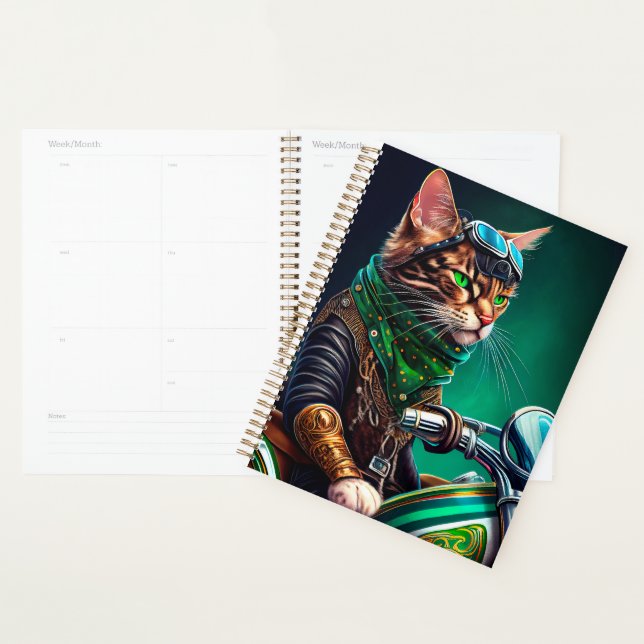 Agenda Bengal Cat dirigindo Ruas de bicicleta. Dia de Pat (Exibição)