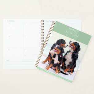 Agenda Bernese Mountain Dogs Feliz Aniversário