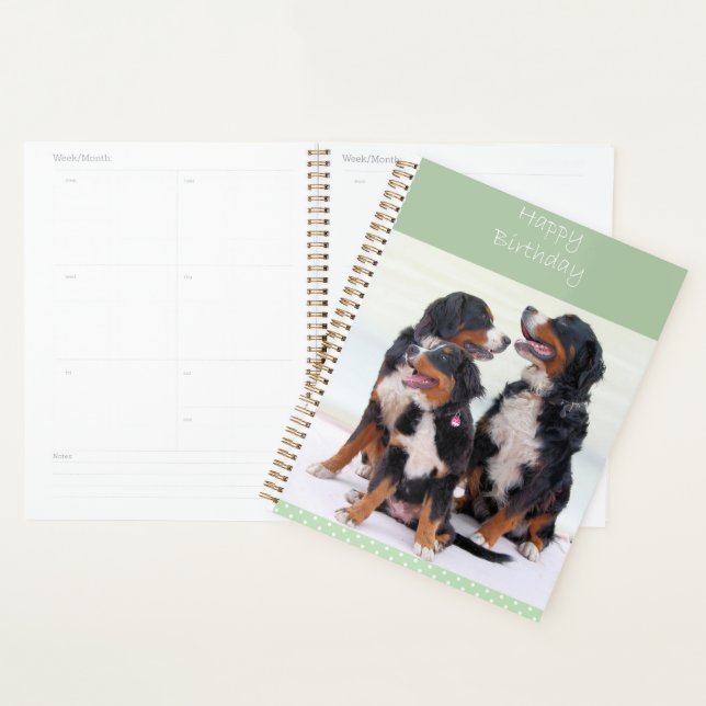 Agenda Bernese Mountain Dogs Feliz Aniversário (Exibição)