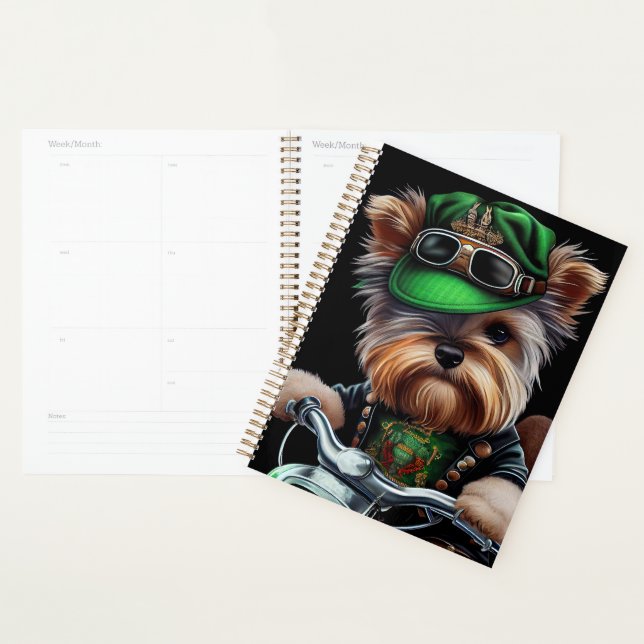 Agenda Biewer Terrier Dog Dirigindo Ruas de bicicleta. Di (Exibição)