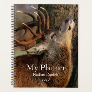 Agenda Big Buck