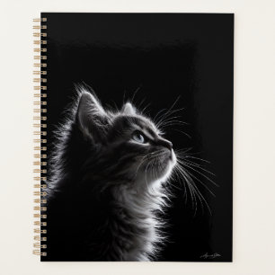 Agenda Bigodes ao Luar
