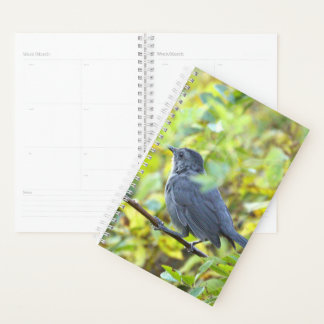 Agenda Bird Photo Planner
