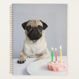 Agenda Birthday Pug