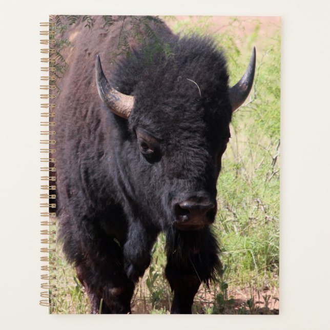 Agenda Bison Close Up (Frente)