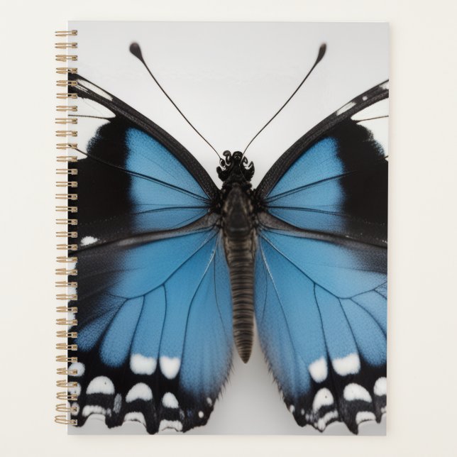Agenda Blue butterfly planner (Frente)