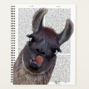 Agenda Bobo Llama
