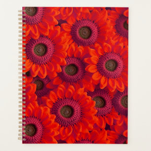 Agenda Bonito flor vermelha