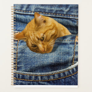 Agenda Bonito presente para guardiões de gatos