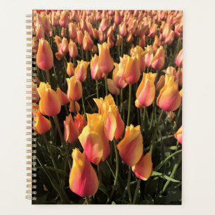 Agenda Bonito Tulipas Rosa e Amarelo