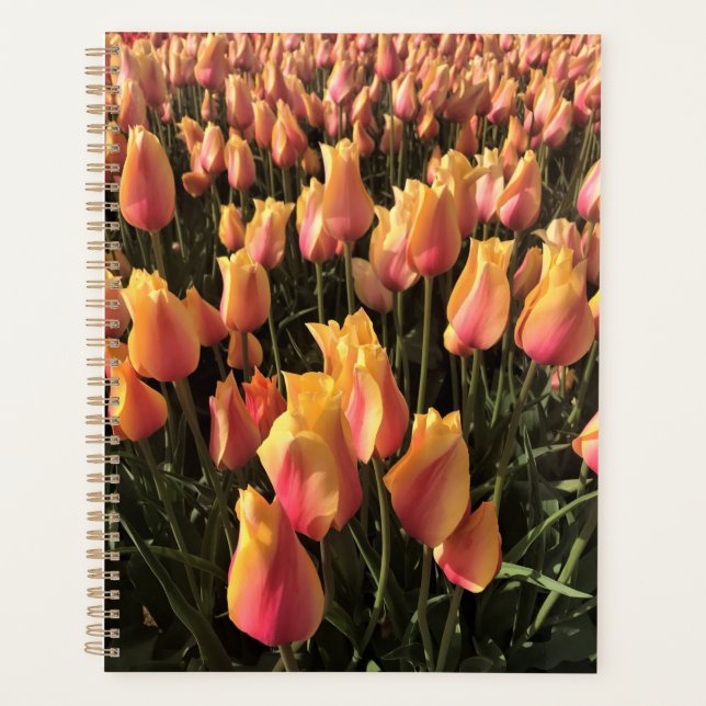 Agenda Bonito Tulipas Rosa e Amarelo (Frente)