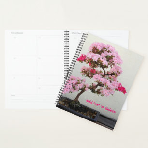 Agenda Bonsai Tree