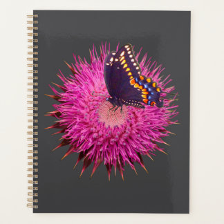 Agenda Borboleta