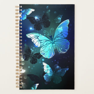 Agenda Borboleta Noturna Flutuante