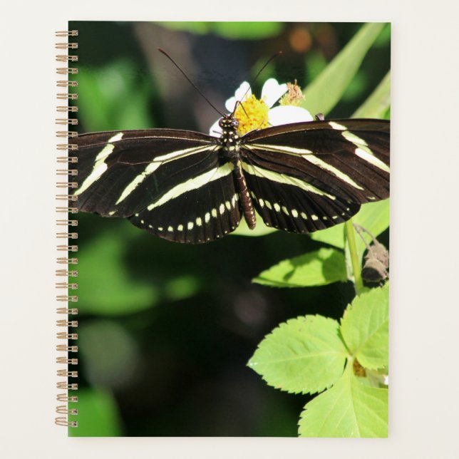 Agenda Borboleta Zebra Longwing (Frente)