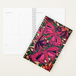 Agenda Borboletas