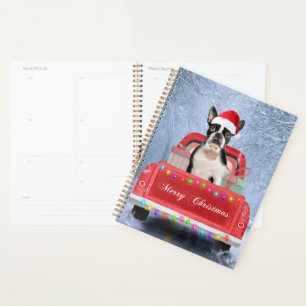 Agenda Boston Terrier Dog Snow sentada no Caminhão de Nat