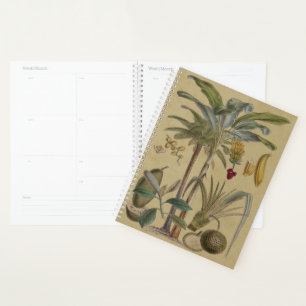 Agenda Botânica Antica Fruta Tropical Palm
