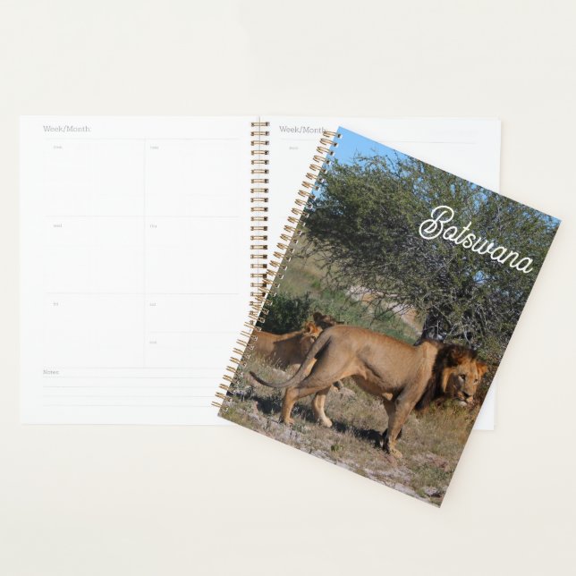 Agenda Botswana Central Kalahari Lions Savannah (Exibição)