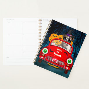Agenda Boxer Dog Dirigindo Carro Assusta Halloween