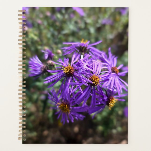 Agenda Brilho Roxo do Outono (Frente)