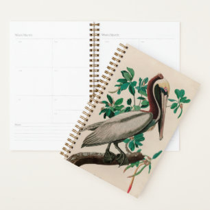 Agenda Brown Pelican Birds of America Audubon Impressão