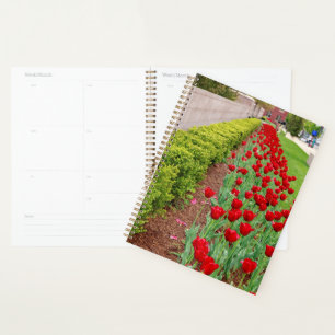 Agenda Bulbs Haupt