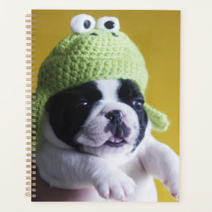 Agenda Buldogue Francês