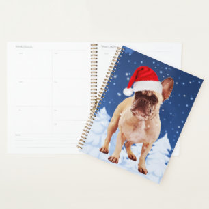 Agenda Buldogue francês no Natal da neve com o Papai Noel