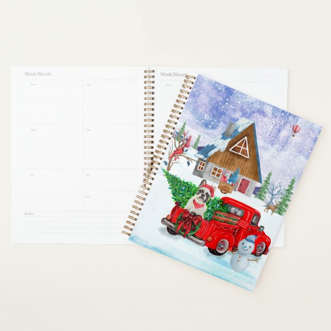 Agenda Buldogue Francês No Parto De Natal (Exibição)