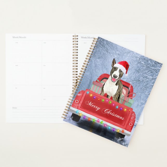 Agenda Bull Terrier sentado na neve no Natal (Exibição)