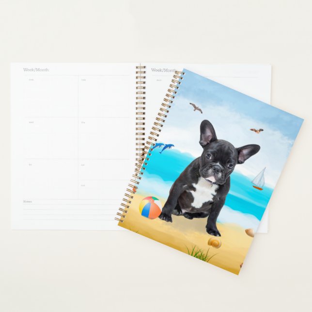 Agenda Bulldog Francês na Praia (Exibição)