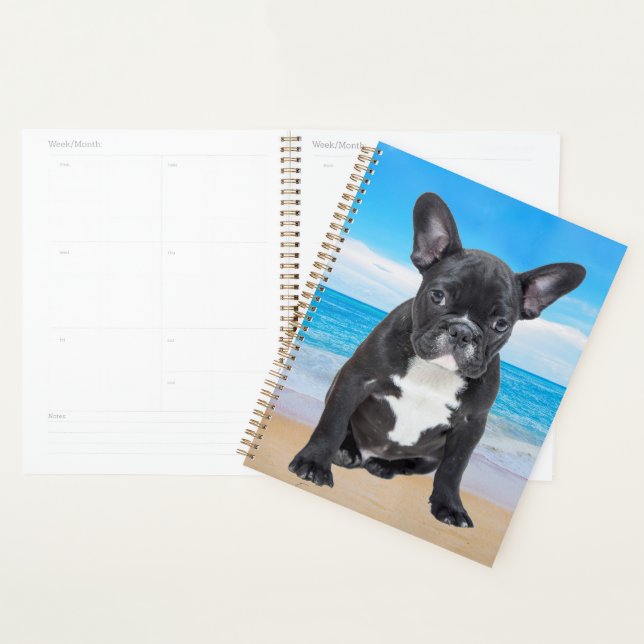 Agenda Bulldog Francês Sentado na Praia (Exibição)