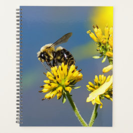 Agenda Bumble Bee Spiral Semanal/Planejador Mensal