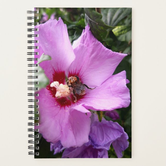 Agenda Bumblebee na Flor de Hibiscus (Frente)