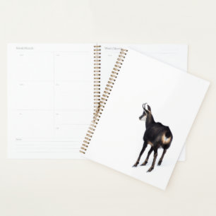 Agenda Cabra de montanha de Chamois alpina minimalista na