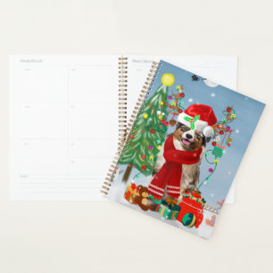 Agenda Cachorro Australiano no Natal da Neve