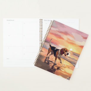 Agenda Cachorro Beagle Sandy Paws no pôr do sol na praia