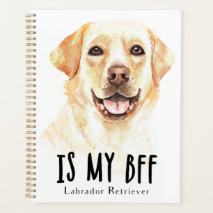 Agenda Cachorro Cachorro Amarelo Aquarela Labrador Retrie